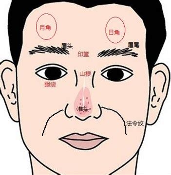 日月角隆起|面相图解：日月角，日月角隆起，日角与月角